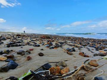 Ferieudlejning til 10 Personer i Fjerritslev, Nordwestjütland, Billede 4