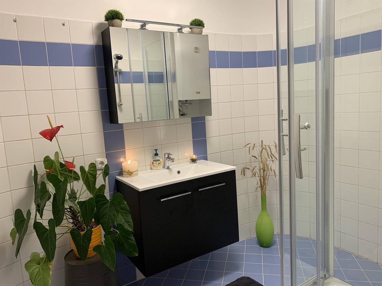 Ganze Ferienwohnung, Ferienwohnung Raabklamm in Passail, Steirerland