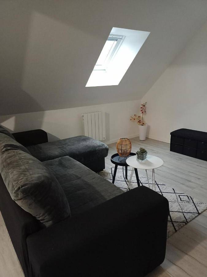 Gîte pour 6 personnes, avec terrasse à Noyen-sur-Sarthe - 3