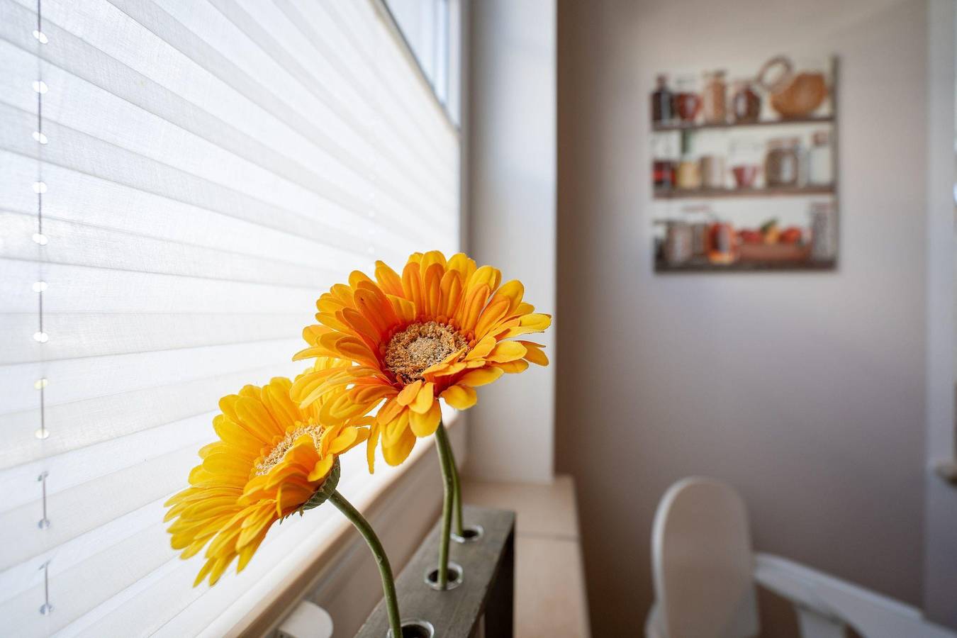 Ganze Ferienwohnung, Appartement Badeweg 5 Bad/501 in Scharbeutz, Ostholstein