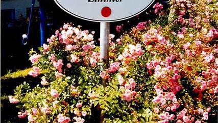 Pension für 2 Personen in Glücksburg, Ostsee Schleswig-Holstein, Bild 2