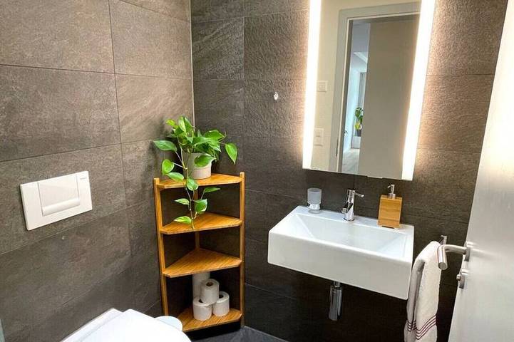 Geheel appartement, Concierge, Penthouse Alps Scenic View by SwissHut in Interlaken, Meer van Thun