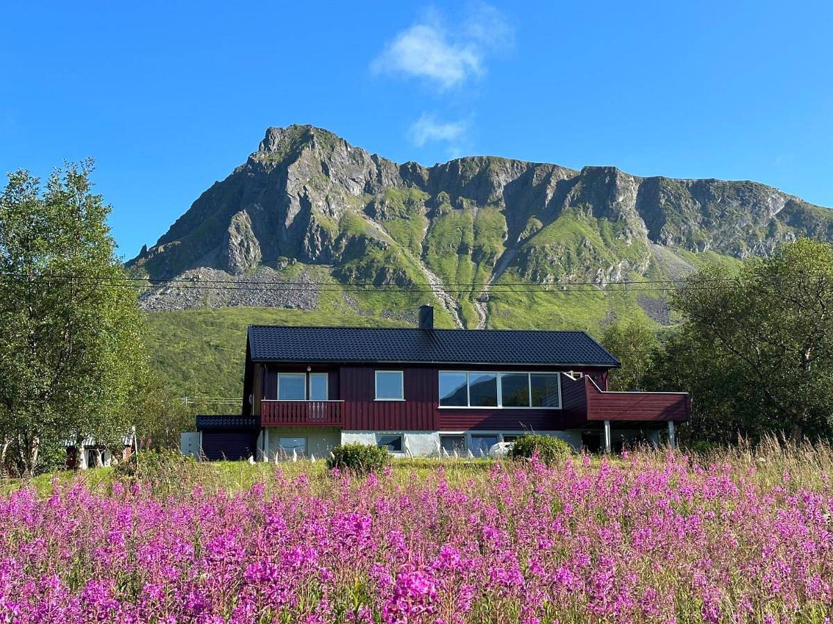 Lofoten Red Villa in Hadsel 