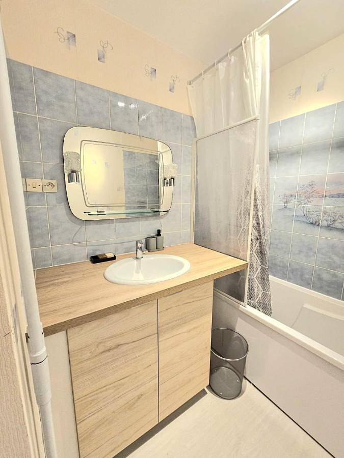 Gîte pour 3 personnes, avec terrasse, animaux acceptés à Saint-Pierre-des-Corps - 3