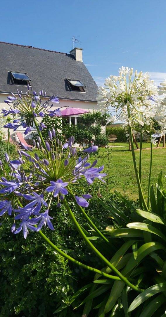 Chambre d’hôte pour 4 personnes, avec jardin dans le Finistère - 2