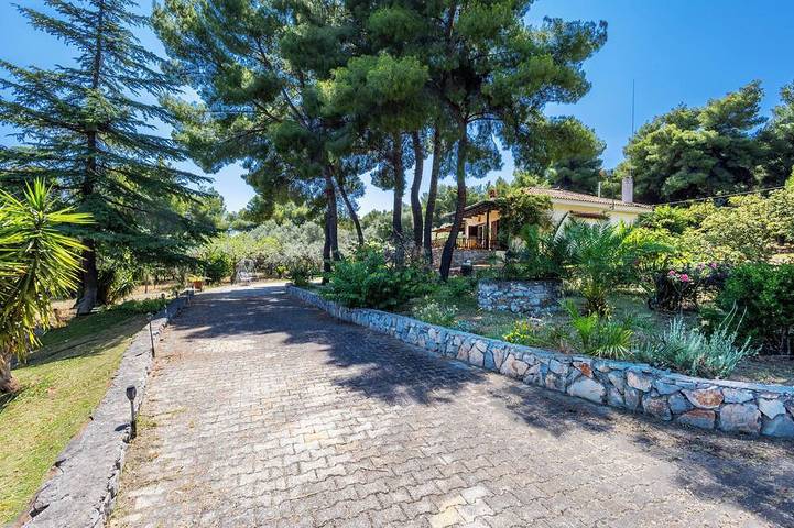 Unico Country House in Ftiotide