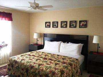 Apartment for 6 Guests in Naples (FL), Collier County, Picture 4