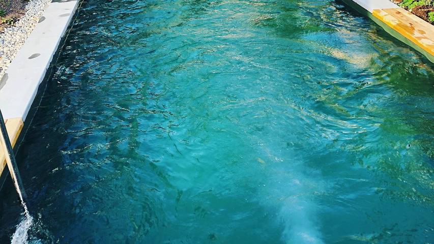 Ferienwohnung für 4 Personen, mit Sauna und Pool sowie Garten und Terrasse, mit Haustier in Bodman-Ludwigshafen - 3