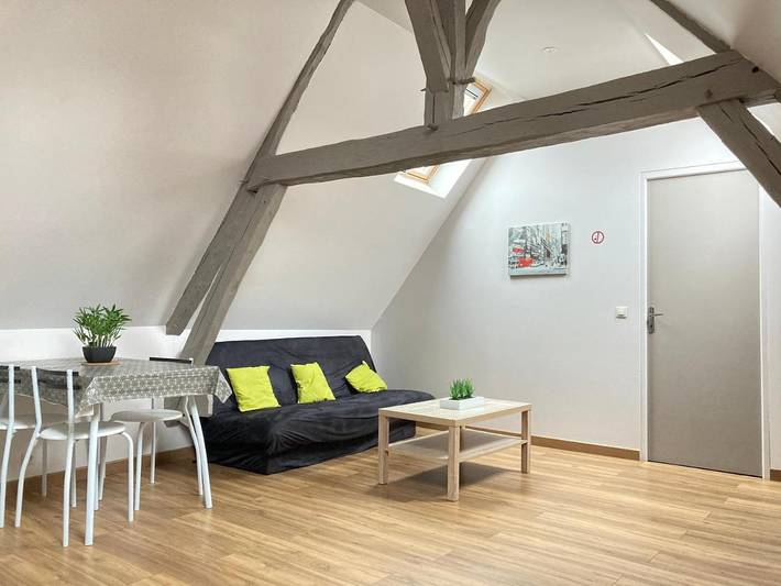 Gîte pour 2 personnes à Neuvy-sur-Loire - 3