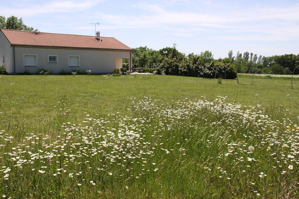 Gîte Les Chênes Verts in Sainte-Croix (Tarn), Région d'Albi