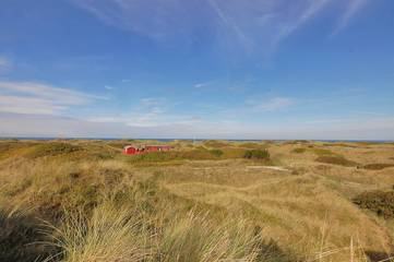 Ferienhaus für 6 Personen in Grønhøj, Dänemark an der Nordsee, Bild 1