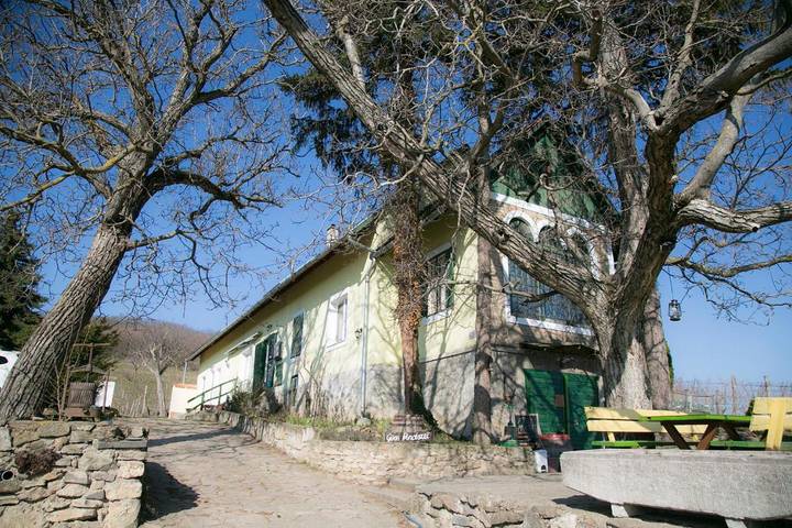 Gîte pour 3 personnes, avec vue et vue sur le lac ainsi que jardin et piscine, animaux acceptés à Szigliget - 3