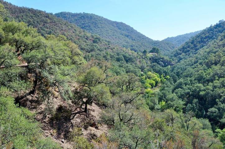 Casa de huéspuedes para 5 personas, con balcón y vistas, Se admiten mascotas en Alt Palància - 2