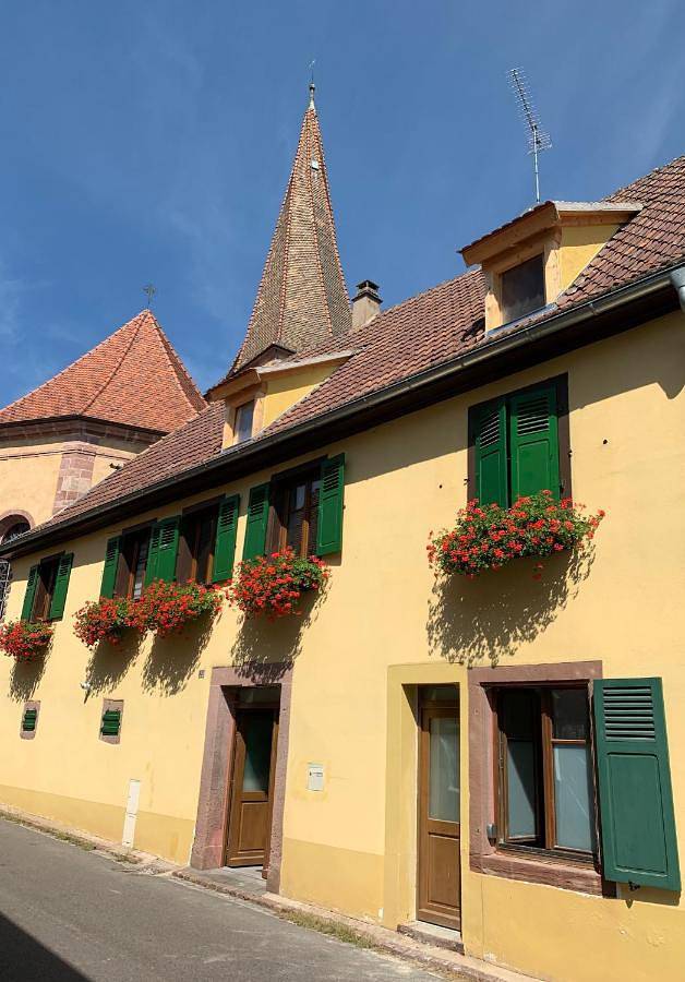 Gîte pour 3 personnes à Niedermorschwihr - 2