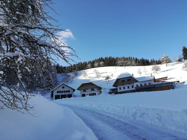 Ferienwohnung für 3 Personen, mit Garten, mit Haustier in Oberharmersbach - 3