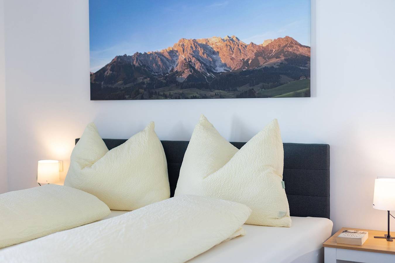 Ganze Ferienwohnung, Appartement/Fewo, Dusche, Wc, 2 Schlafräume in Dienten am Hochkönig, Pinzgau