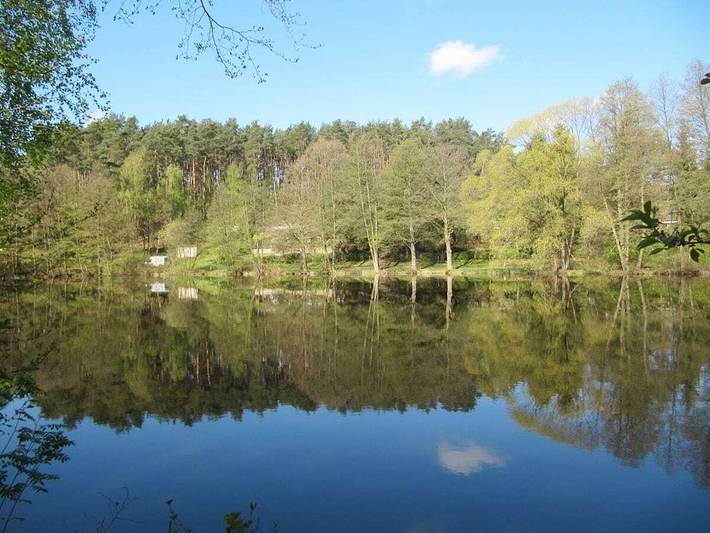 Ferienhaus für 4 Personen, mit Haustier in Wittstock/Dosse - 2