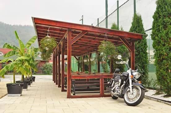 Gîte pour 2 personnes, avec jardin et terrasse, animaux acceptés dans Baia Mare - 4