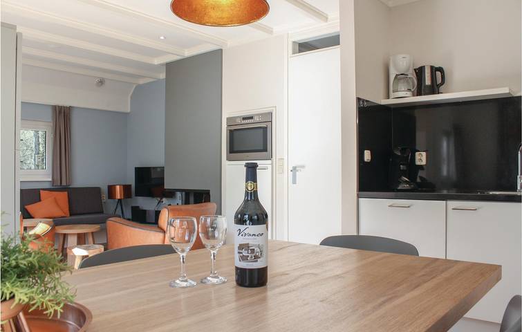 Ferienhaus für 6 Personen, mit Terrasse und Whirlpool sowie Garten in Ommen - 4