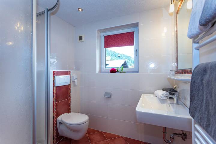 Ganze Ferienwohnung, Appartement 5 in Hochkönigstock, Hinterthal