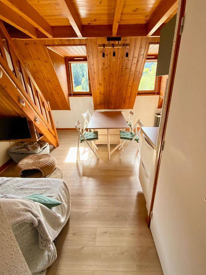 Gîte pour 4 personnes, avec vue dans Station du Mourtis