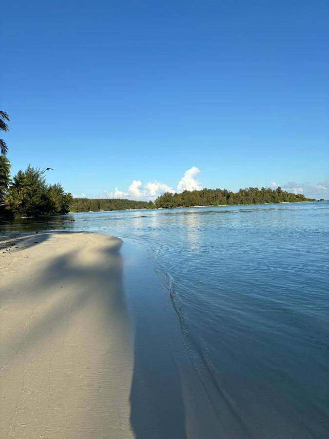 Chalet pour 8 personnes, avec vue et jardin