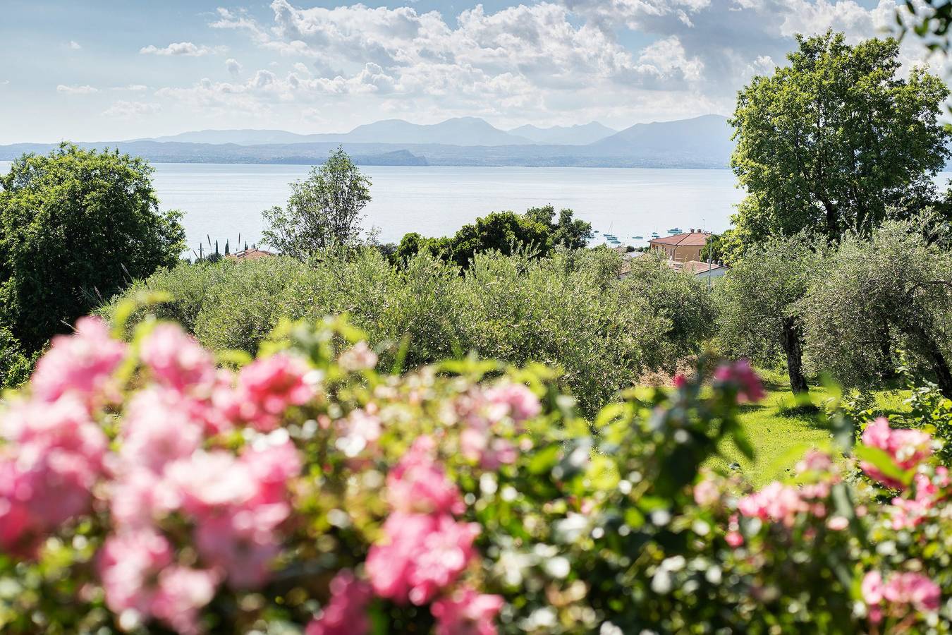 Villa 'Con Vista Mozzafiato Sul Lago' con vista lago, Wi-Fi e aria condizionata in Cisano, Bardolino
