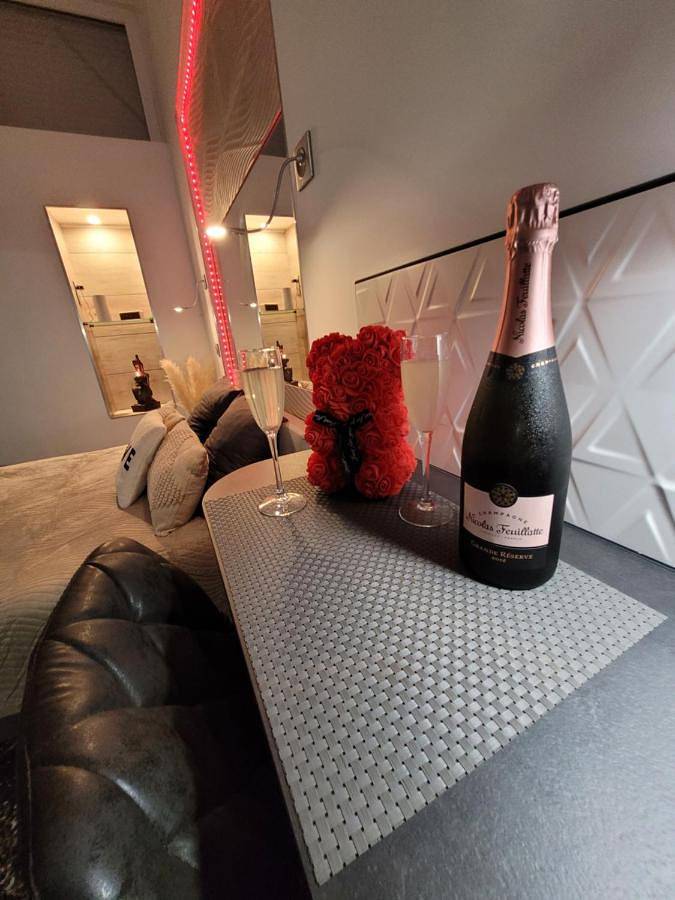 Chambre d’hôte pour 3 personnes, avec jacuzzi et terrasse à Blois - 2