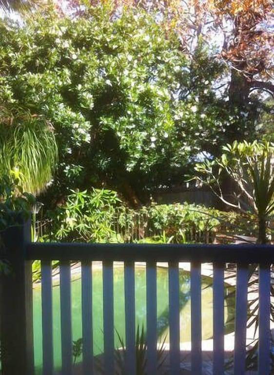 Komfortable Garden Apartment in Bellingen (NSW), New South Wales