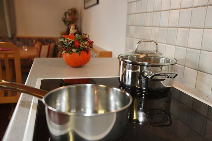 Apartamento vacacional entero, Apt. 2: 46 m² in Tux Alps, Fügen