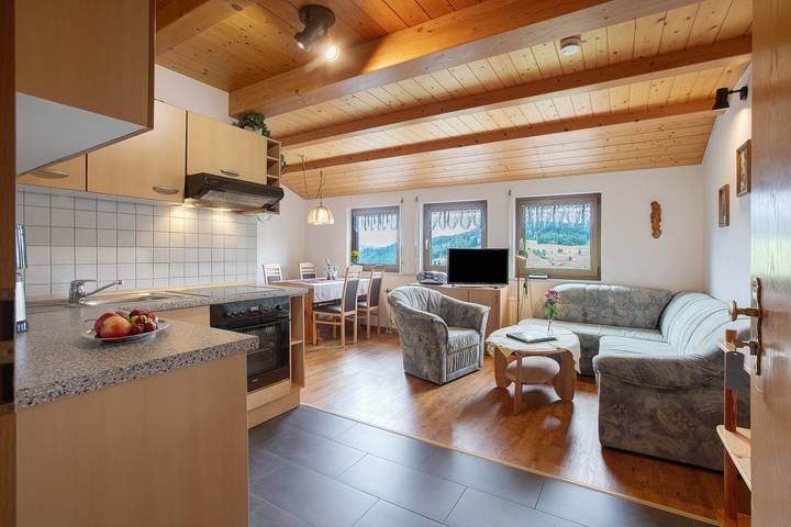 Ferienwohnung für 4 Personen, mit Garten und Balkon sowie Sauna, mit Haustier - 1