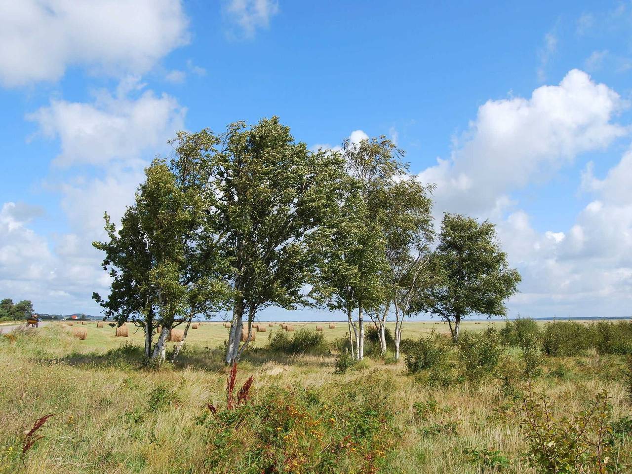 Hotel Hitthim - Doppelzimmer Nord/West-Blick in Kloster, Hiddensee