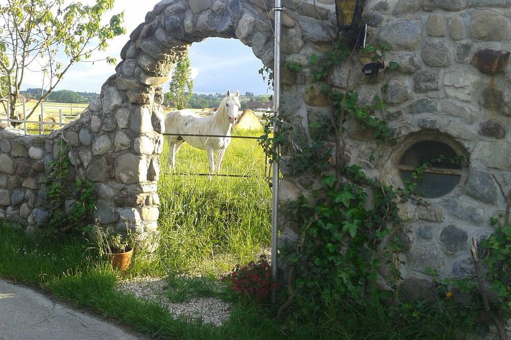 Allgäufinca Natur - Aktivität - Stille - Heilung in Leutkirch im Allgäu, Region Bodensee-Oberschwaben