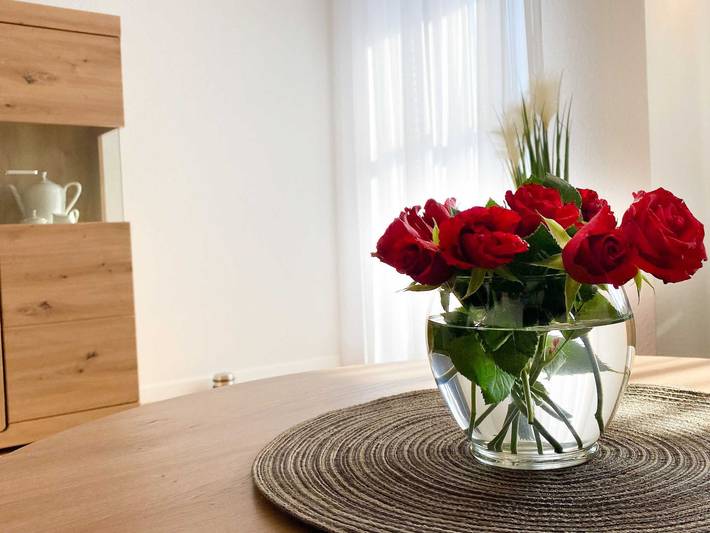 Ferienwohnung für 4 Personen, mit Balkon und Ausblick in Bermatingen - 4