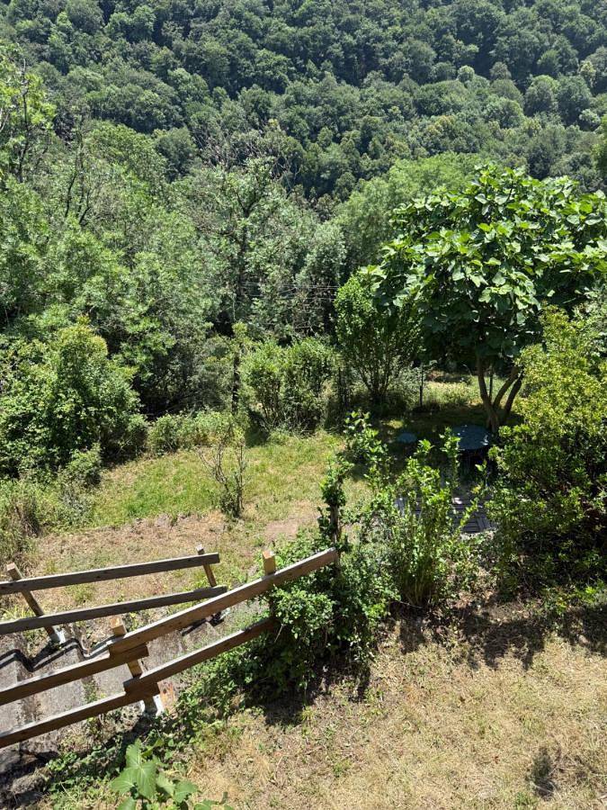 Location de vacances pour 7 personnes, avec jardin et vue à Melles - 4
