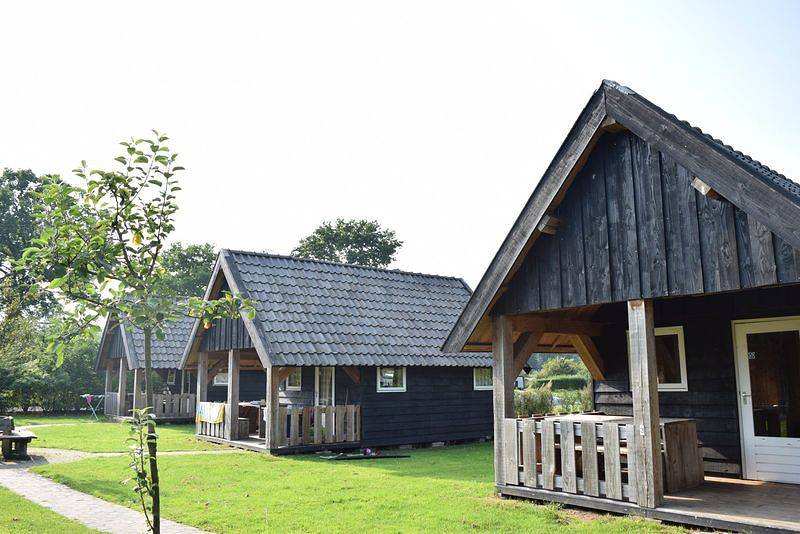Recreatiepark De Boshoek — Holzlodge | 18 Personen in Veluwe