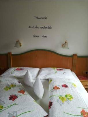 Maison d’hôte pour 6 personnes, avec vue et jardin à Mayrhofen - 2