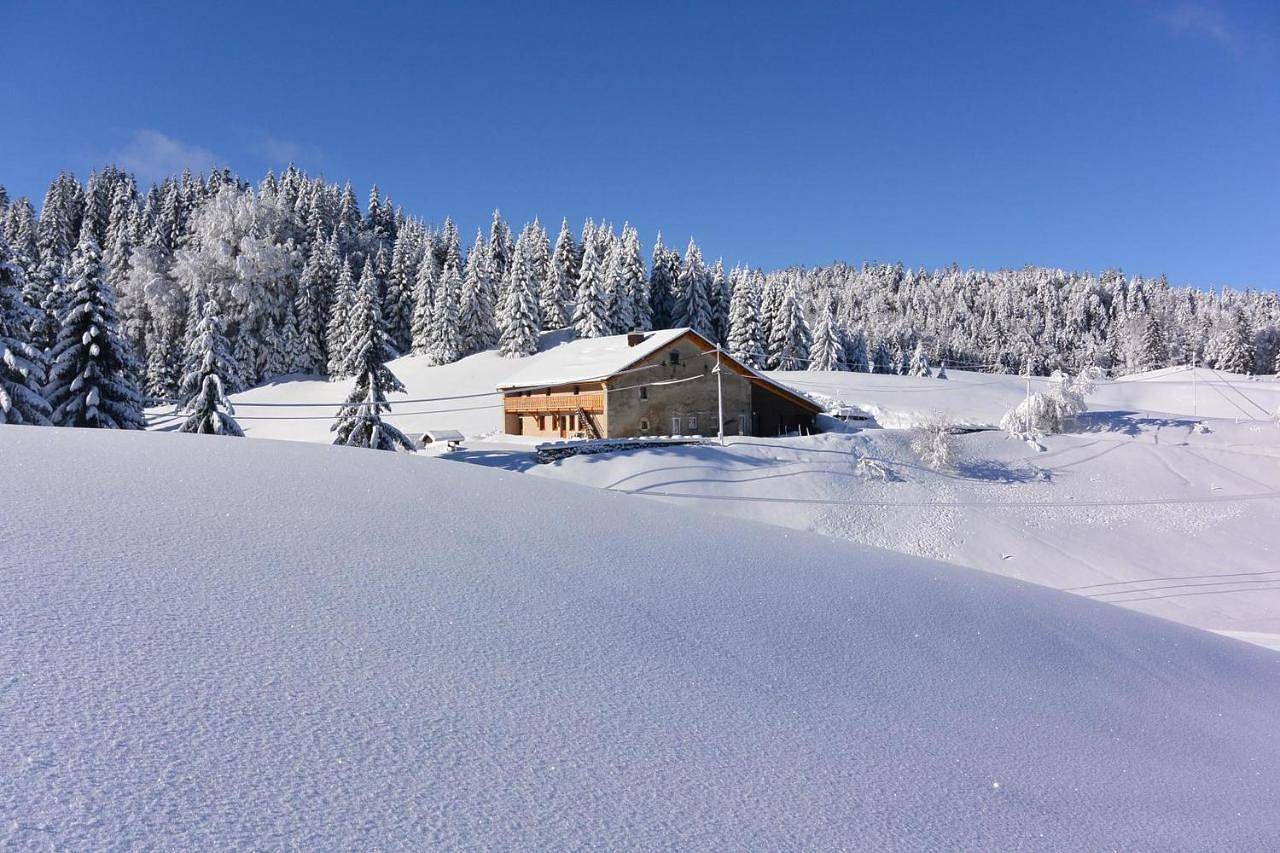 Appartement entier, Gîtes Tré Le Grenier in Les Moussières, Parc naturel régional du Haut-Jura