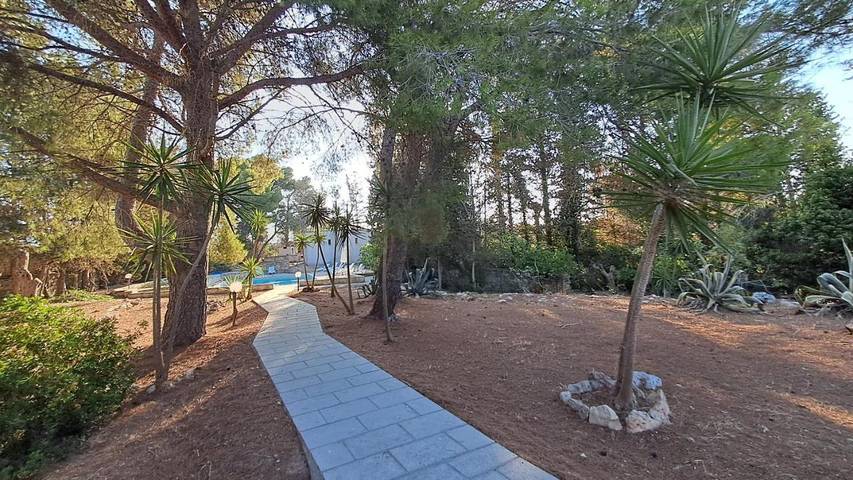 Chambre d’hôte pour 3 personnes, avec piscine et terrasse ainsi que jardin et vue à Ugento - 4