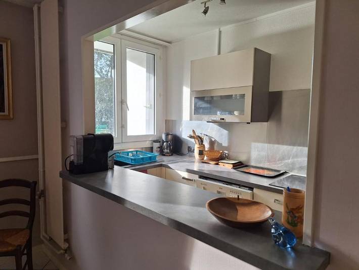 Gîte pour 6 personnes, avec vue et jardin à L'Haÿ-les-Roses - 3