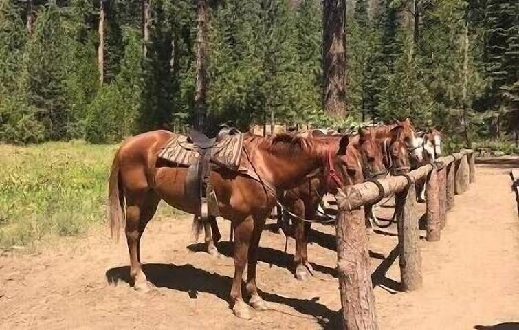 Vacation rental for 17 people, with yard in Shaver Lake