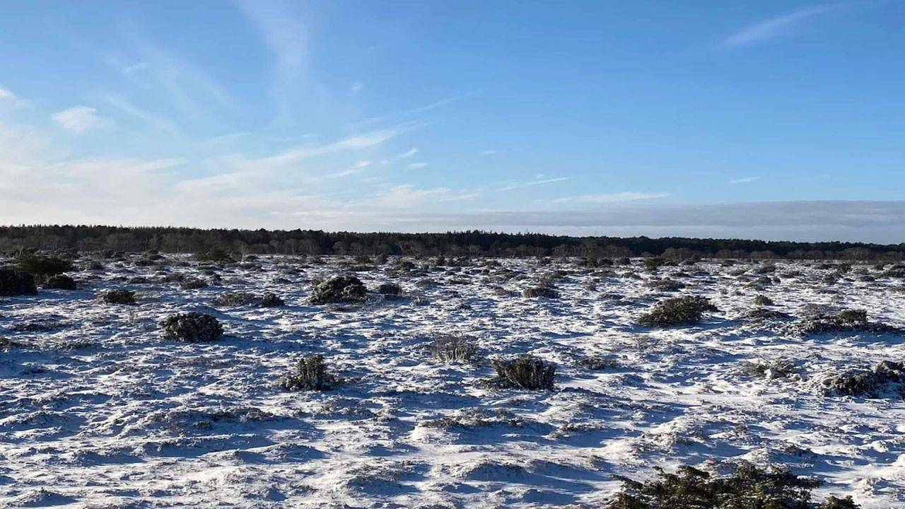 Ferienhaus für 4 Personen (36 m²) in Hadsund in Hadsund, Himmerland