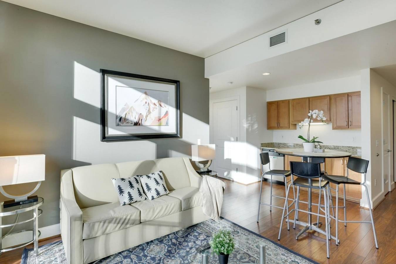 Entire apartment, Modern, Upgraded Apartment - fast wifi and free parking! in Portland, Multnomah County