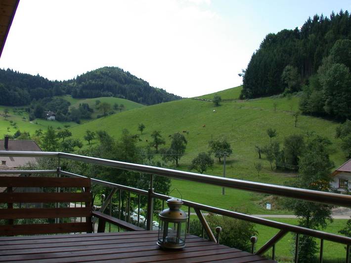 Ganze Ferienwohnung, Mockhof - Bachhüsliblick in Waldkirch, Südschwarzwald