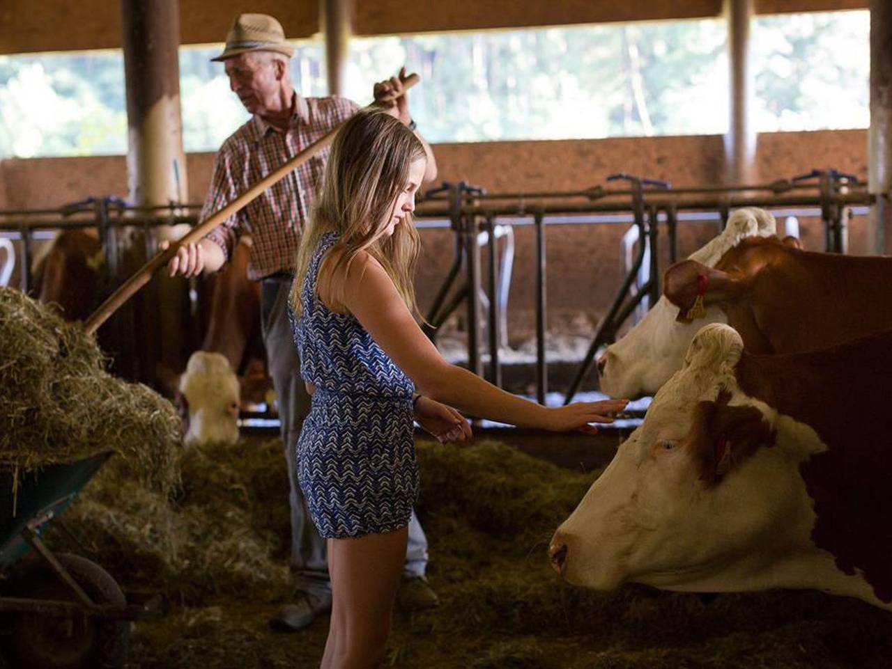 Ganze Ferienwohnung, Prefelnig-Hof - Ferienwohnung Ossiacher Tauern in Ossiach, Bezirk Feldkirchen