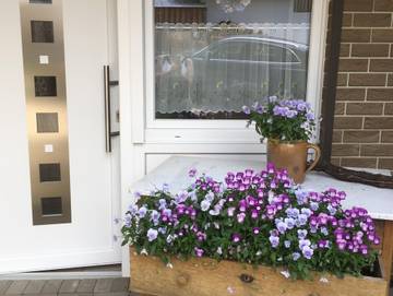 Ferienwohnung für 3 Personen in Thalfang, Bernkastel-Kues & Umgebung, Bild 1