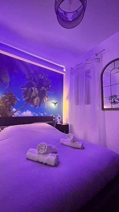 Gîte pour 4 personnes, avec jacuzzi et terrasse ainsi que jardin et sauna à Castelsarrasin - 4