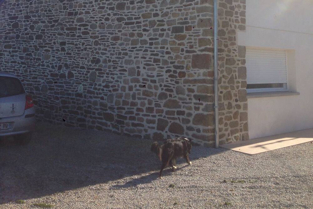 Maison *** en baie du Mont Saint Michel 2 à 5 personnes in Saint-Broladre, Baie du Mont-Saint-Michel