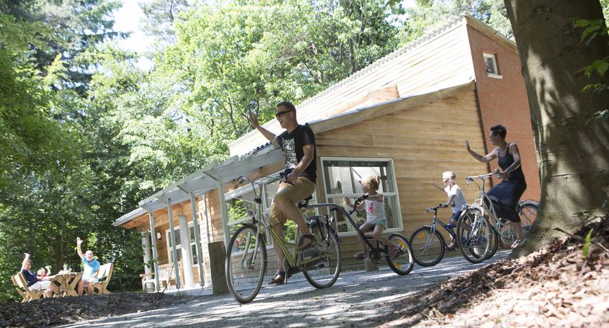 Bungalow voor 11 personen, met tuin, met huisdier in Norg