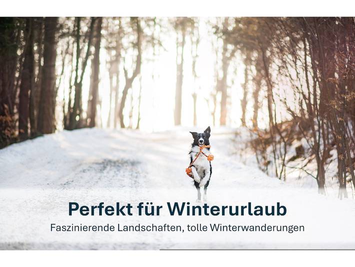 Ferienwohnung für 4 Personen, mit Terrasse in Peenemünde - 3